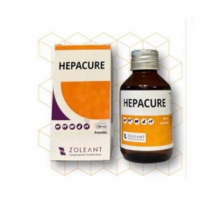 HEPACURE VİTAMİN AMİNOASİT ÇÖZELTİSİ 100 ML