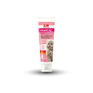 VİTALİCAT PASTE JUNİOR 100 ML